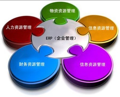 ERP软件开发的战略目标与技术基石